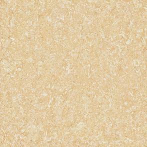 Polished porcelain tiles PY6813P PY8813P