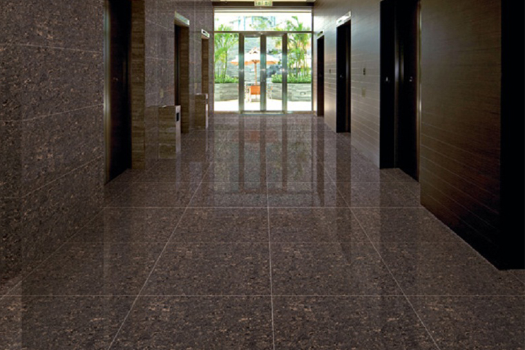 Polished porcelain tiles  D6316P